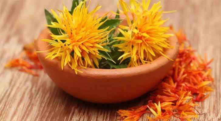 safflower