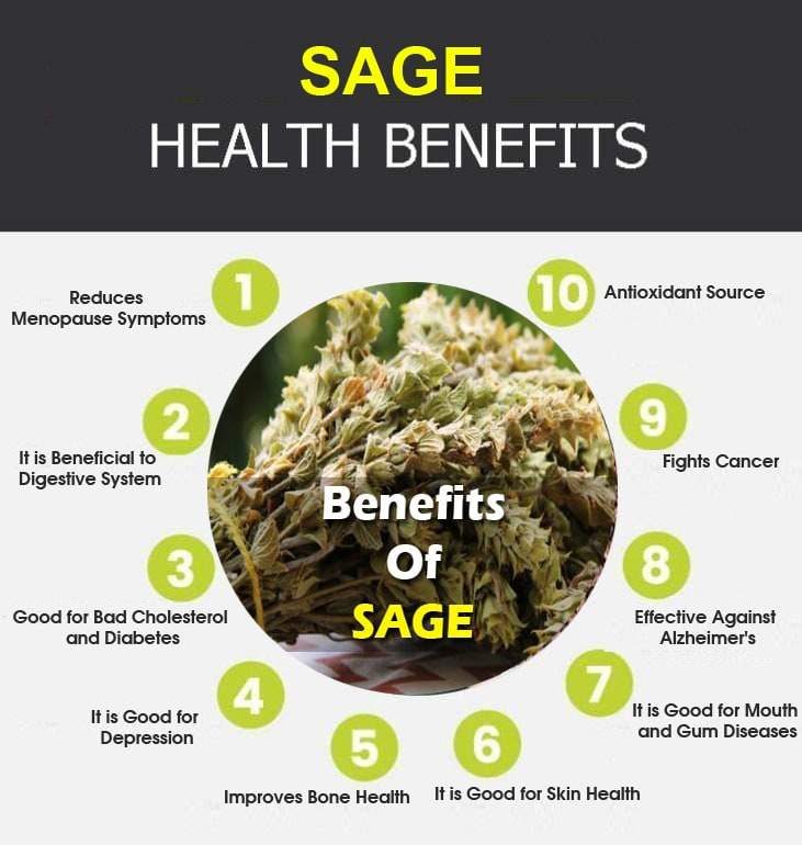 sage infographic e1600840823317