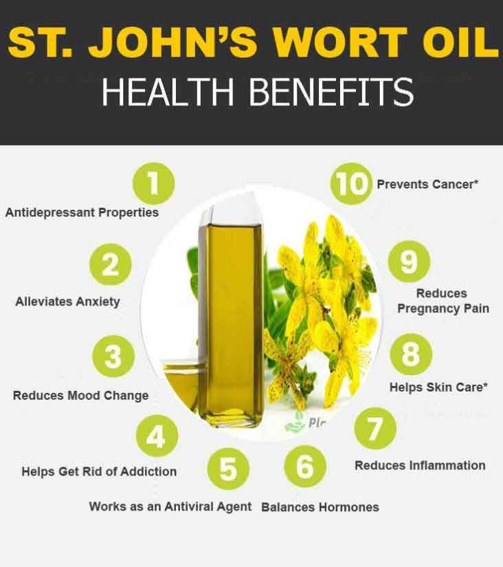 st johns wort oil graphic