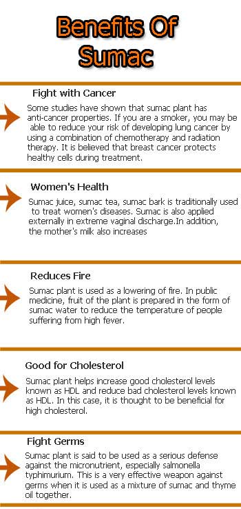 sumac benefits 1