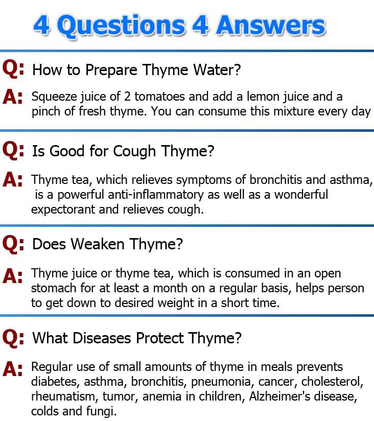 thyme questions answers