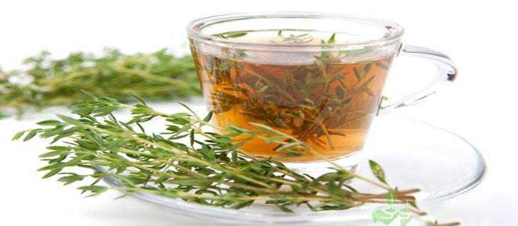 thyme tea benefits