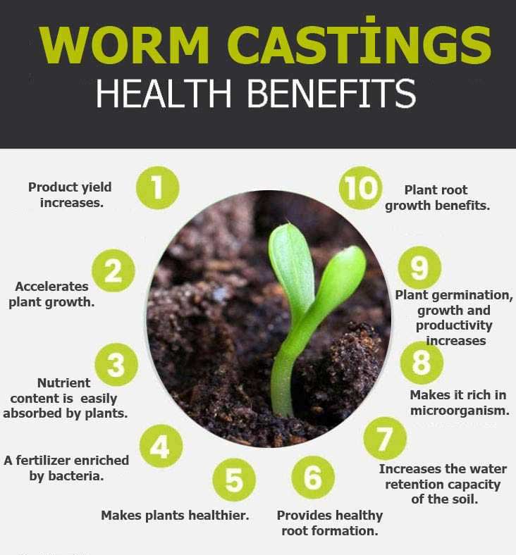 worm casting graphic