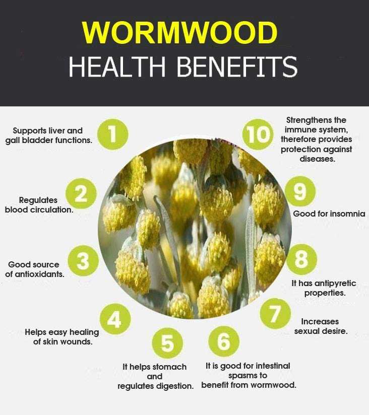 wormwood graphic