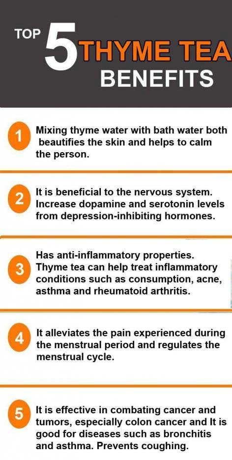 24 wonderful amazing benefits of thyme tea 1